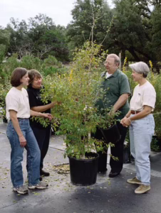 Members of the Boerne Chapter NICE! Program meet with local nurseries to promote Texas natives