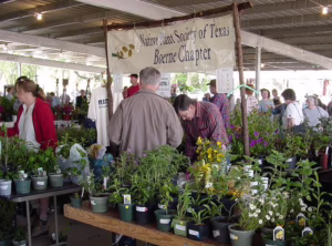 Boerne Chapter Native Plant Sale 2004