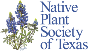 NPSOT Logo