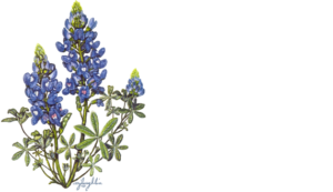Native Plant Society of Texas logo