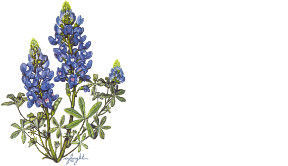 Native Plant Society of Texas logo