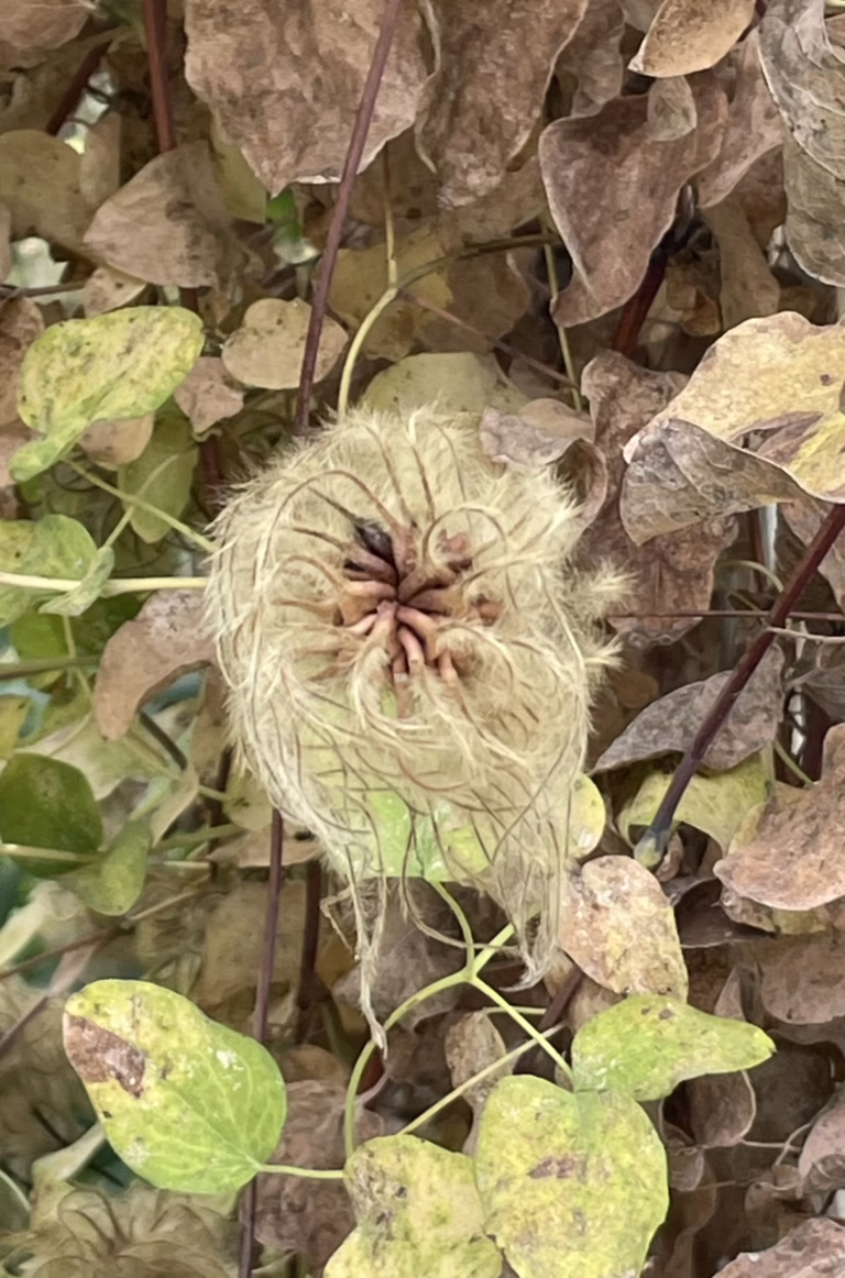 Photo Credit: Deedy Wright