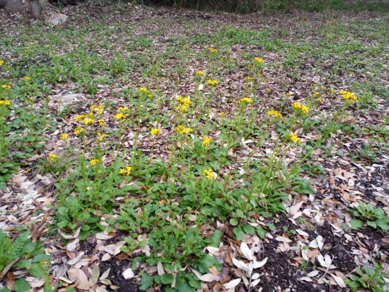 Photo Credit: Claire Sorenson