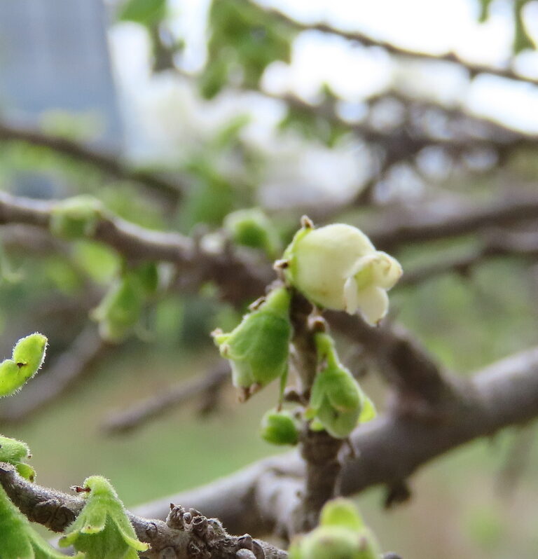 Photo Credit: Claire Sorenson