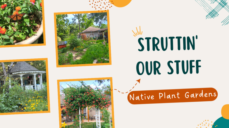 graphic featuring two backyard gardens