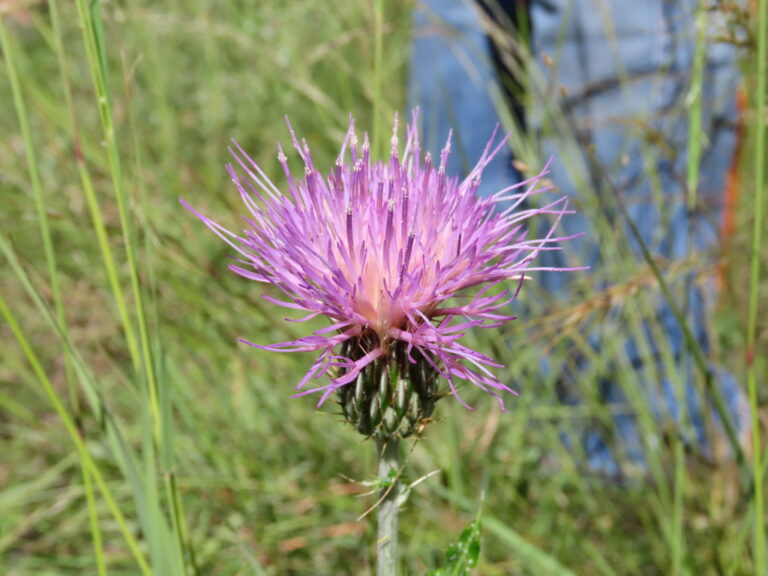 Photo Credit: Claire Sorenson