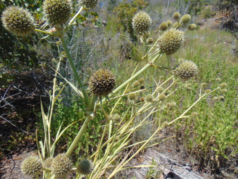 Photo Credit: Claire Sorenson