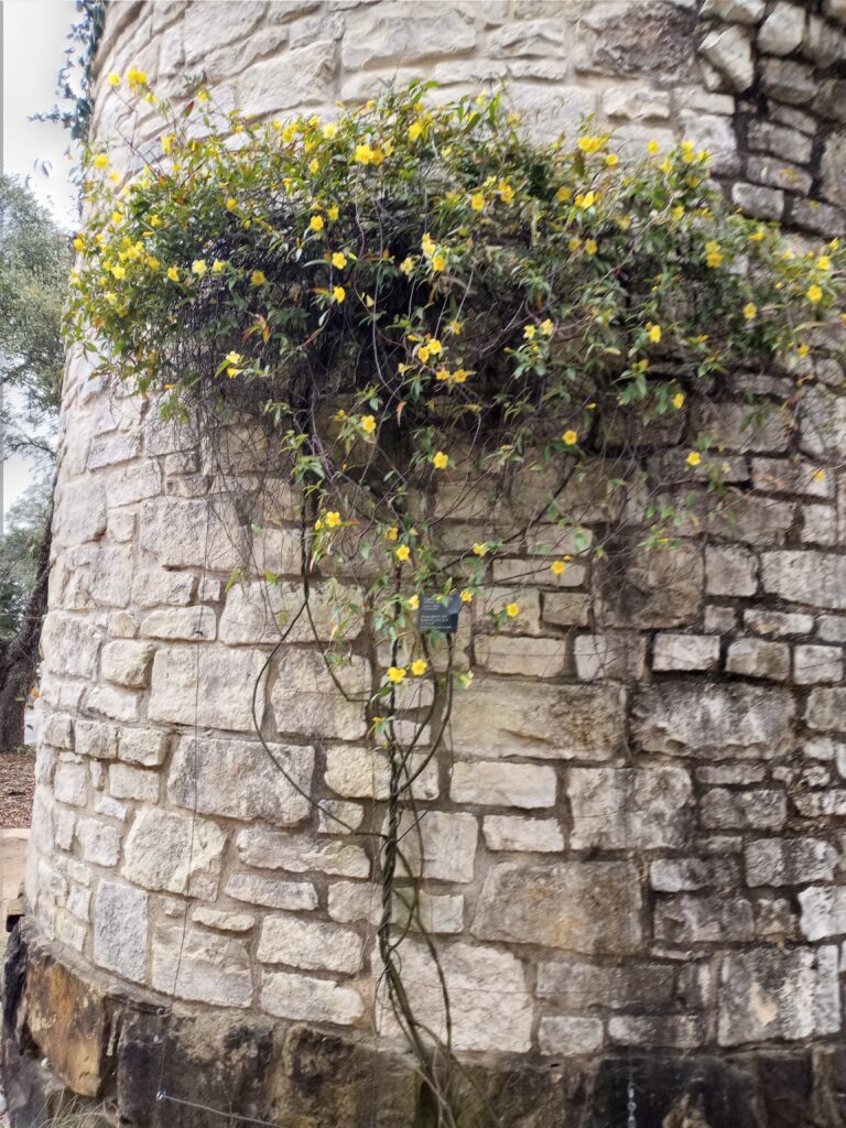 Photo Credit: Claire Sorenson