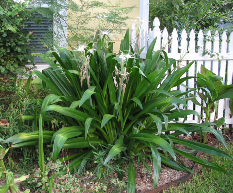 Photo Credit: Deedy Wright