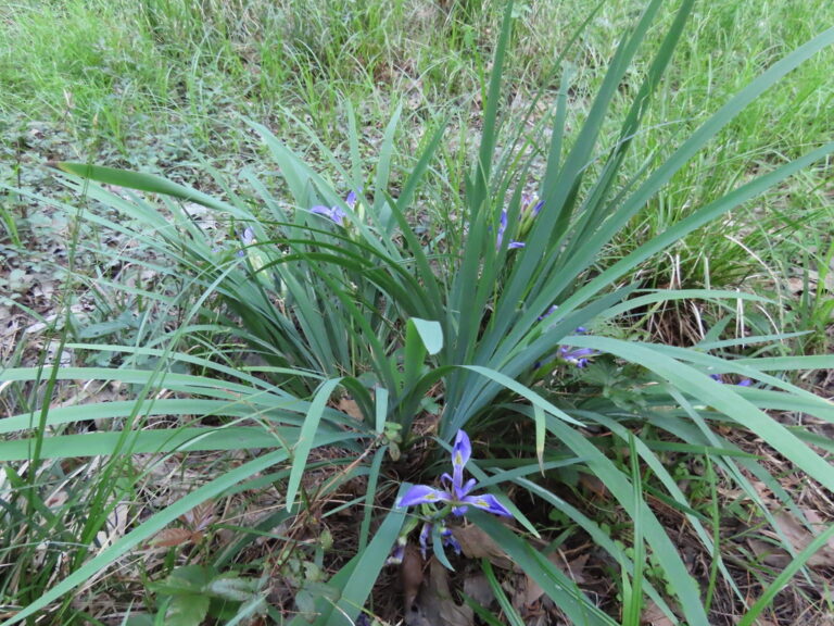 Photo Credit: Claire Sorenson