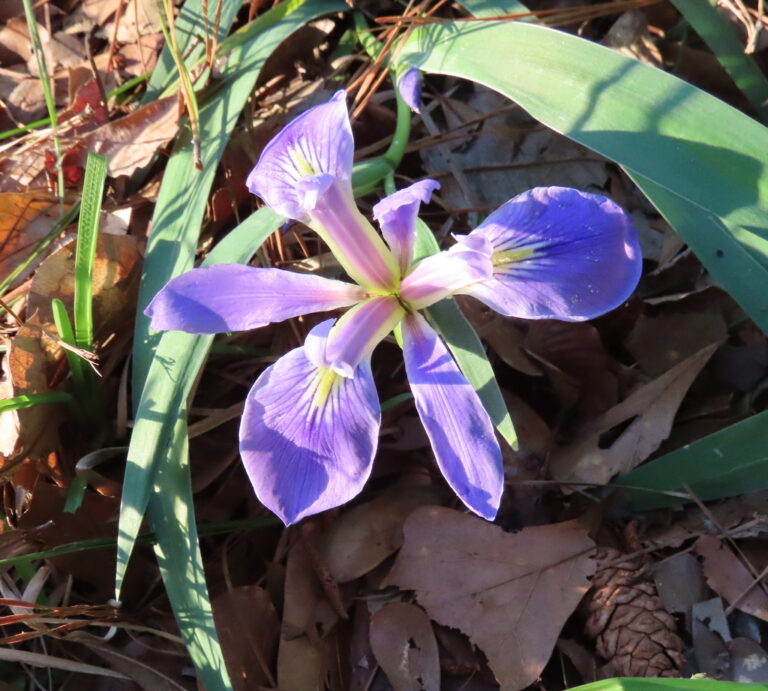 Photo Credit: Claire Sorenson