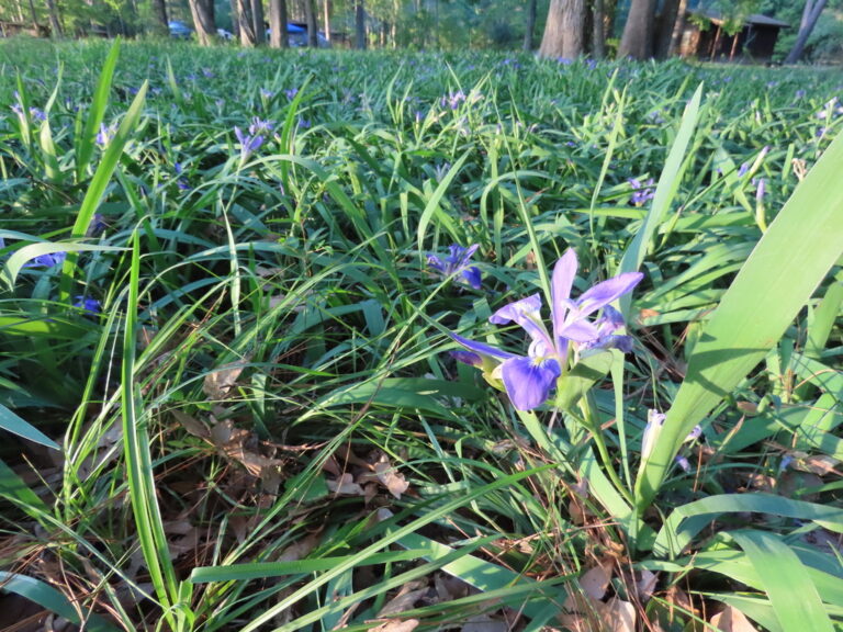 Photo Credit: Claire Sorenson