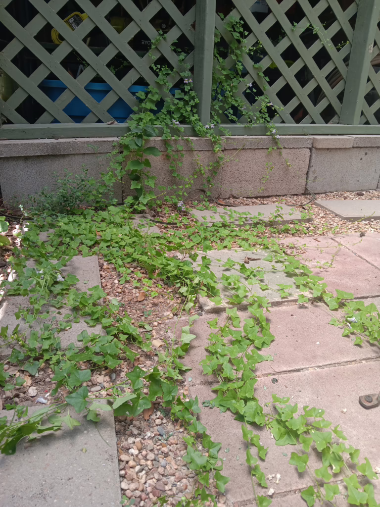 Photo Credit: Claire Sorenson