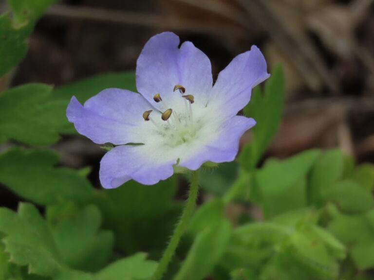 Photo Credit: Claire Sorenson