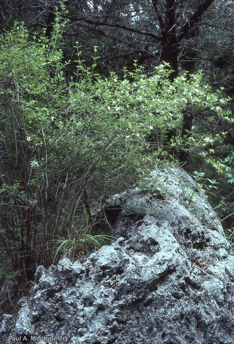 Photo Credit: Paul Montgomery