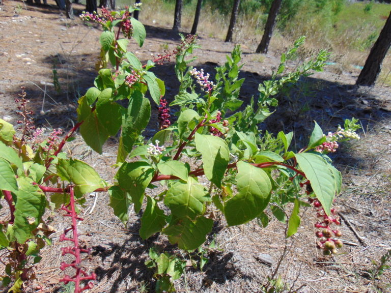 Photo Credit: Claire Sorenson