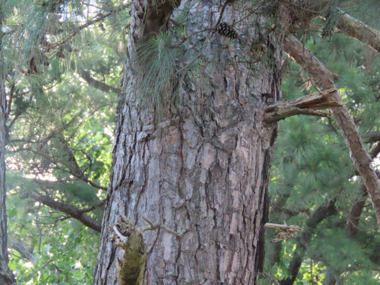 Photo Credit: Claire Sorenson