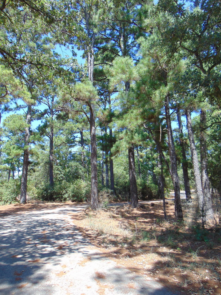 Photo Credit: Claire Sorenson