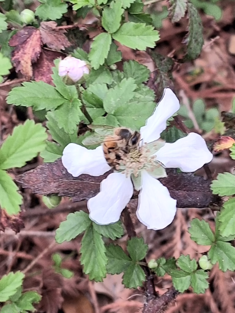 Photo Credit: Mark Richert