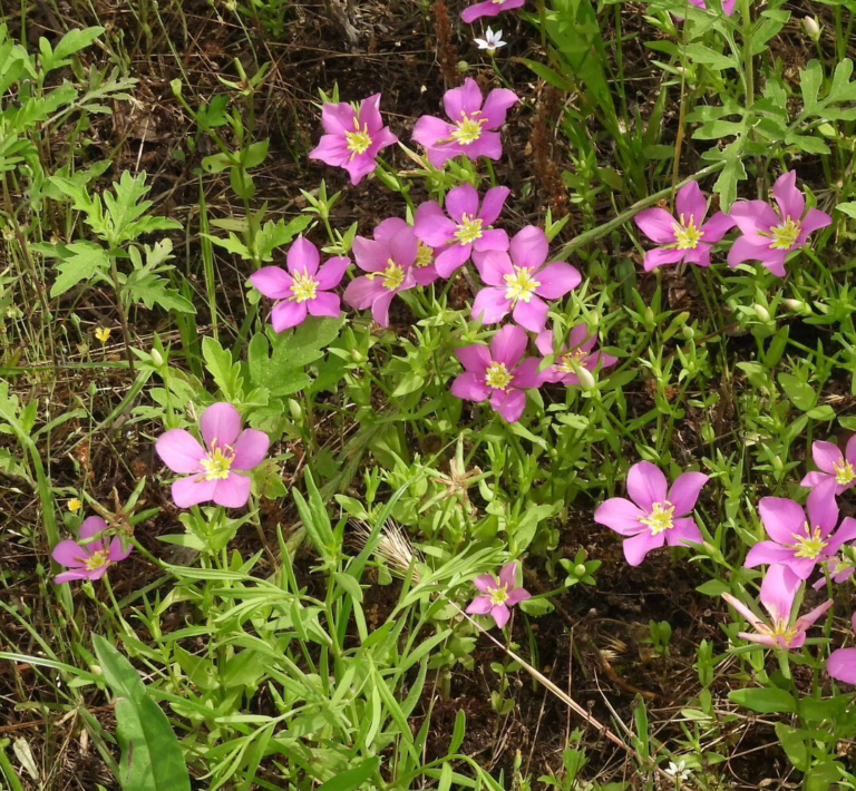 Photo credit: Claire Sorenson