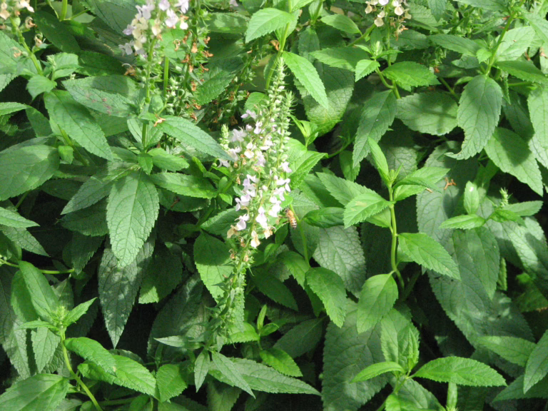 Photo Credit: Deedy Wright