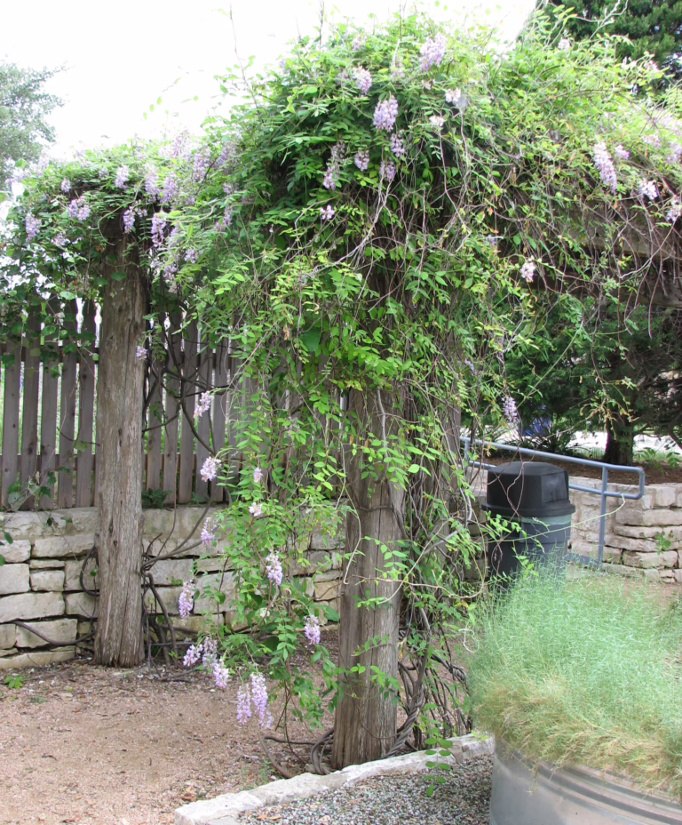 Photo Credit: Deedy Wright