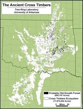Map of where ancient cross timbers growth sprawled across Texas and Oklahoma