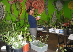 Woman standing in between tables full of plans, a mural of plants on a wall in the background