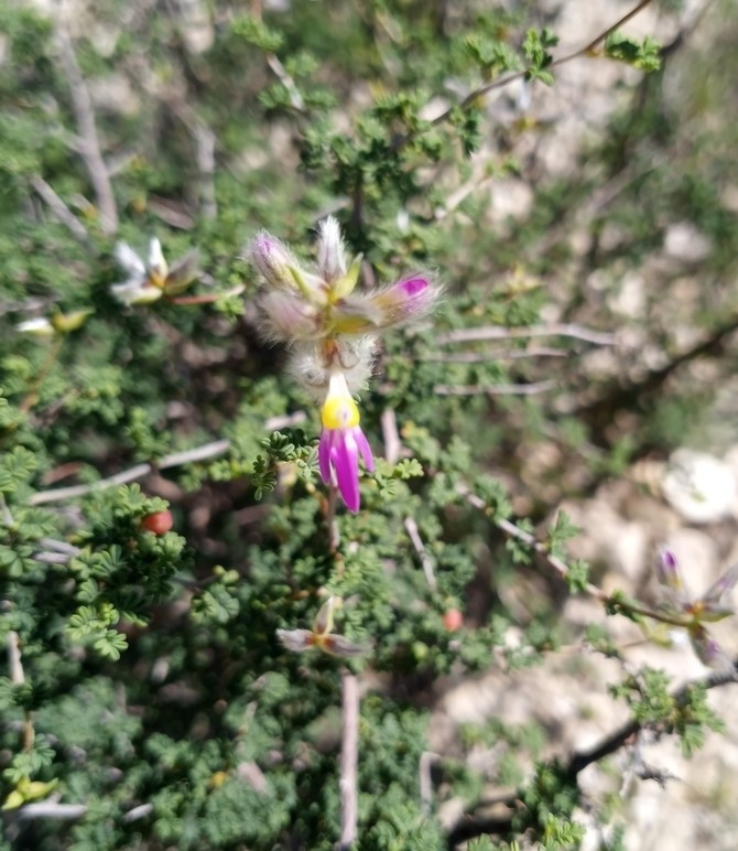 Photo Credit: Claire Sorenson