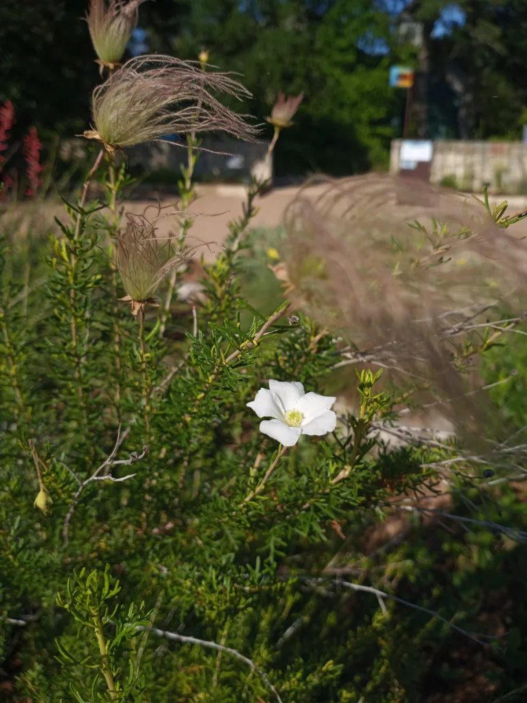 Photo Credit: Claire Sorenson