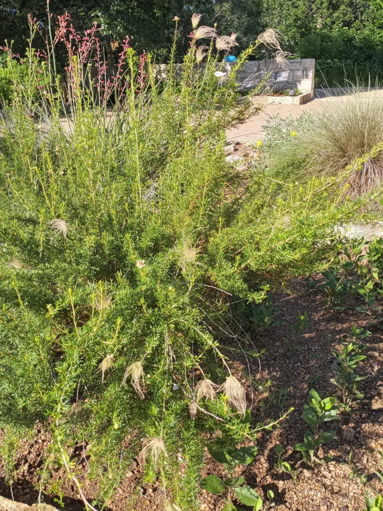 Photo Credit: Claire Sorenson