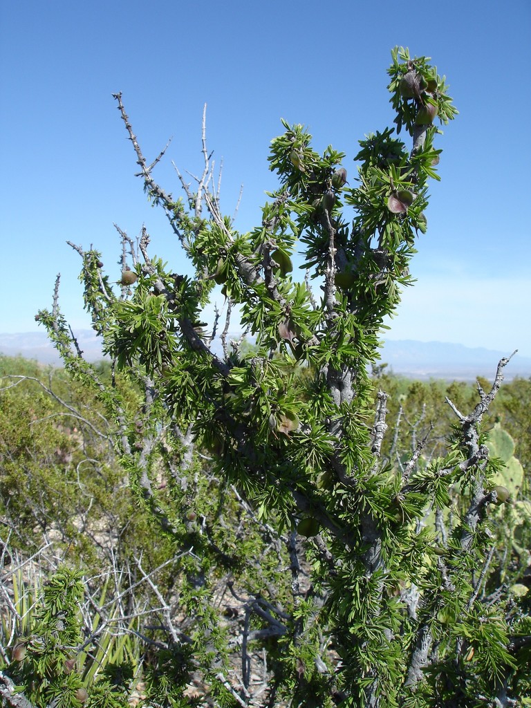 Photo Credit: Claire Sorenson