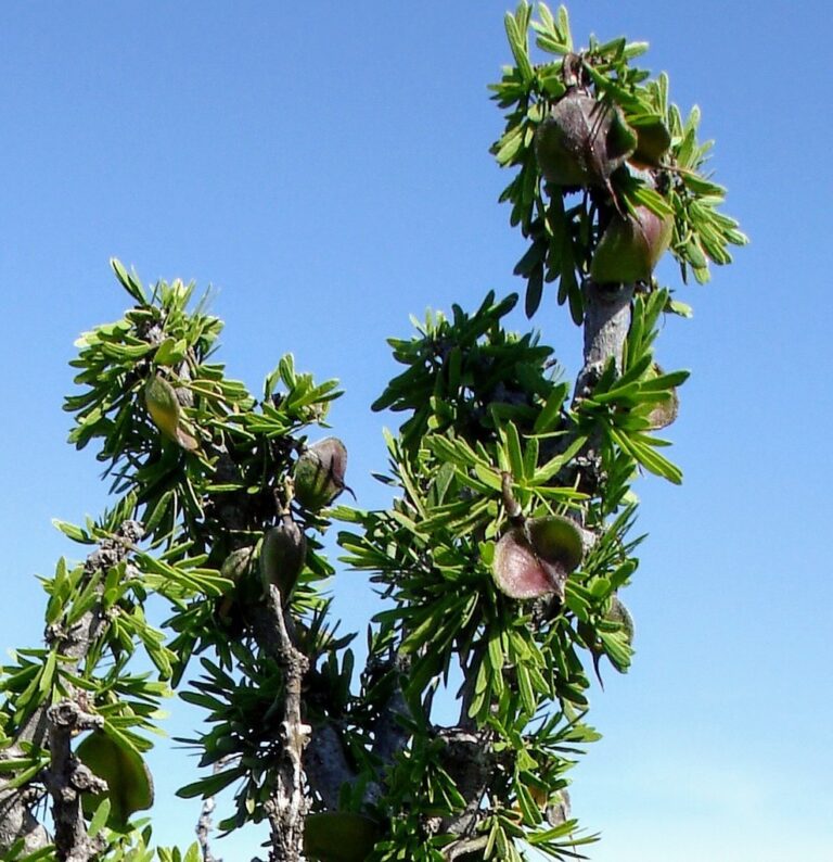 Photo Credit: Claire Sorenson