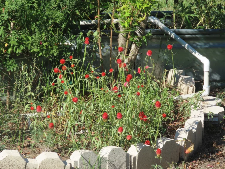 Photo Credit: Claire Sorenson