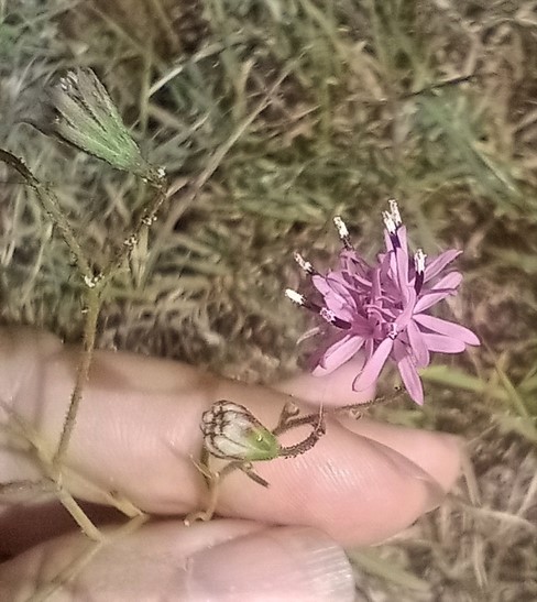 Photo Credit: Claire Sorenson