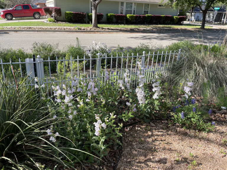 Photo Credit: Deedy Wright