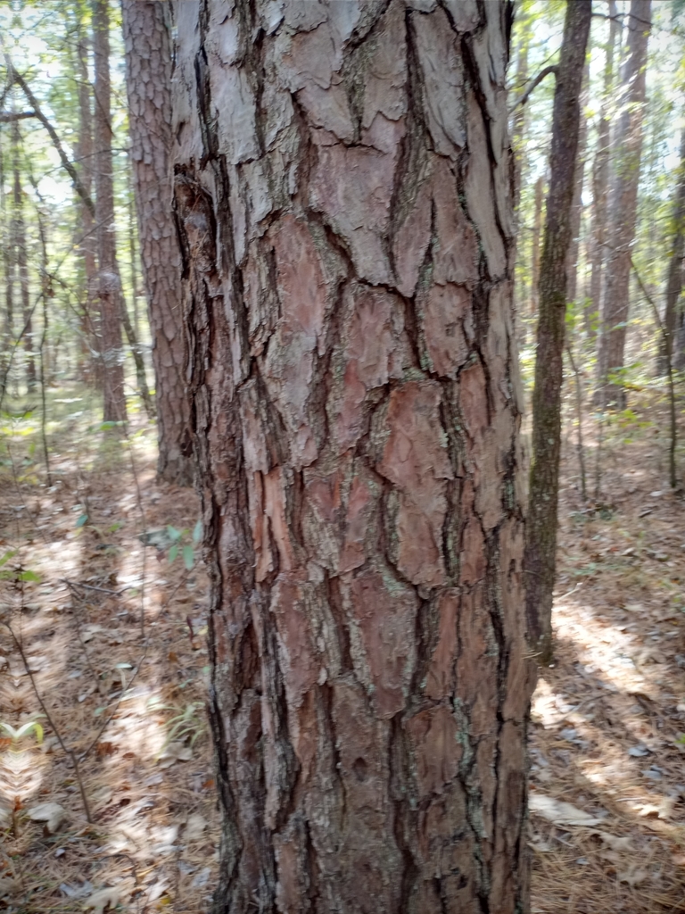 Photo Credit: Claire Sorenson