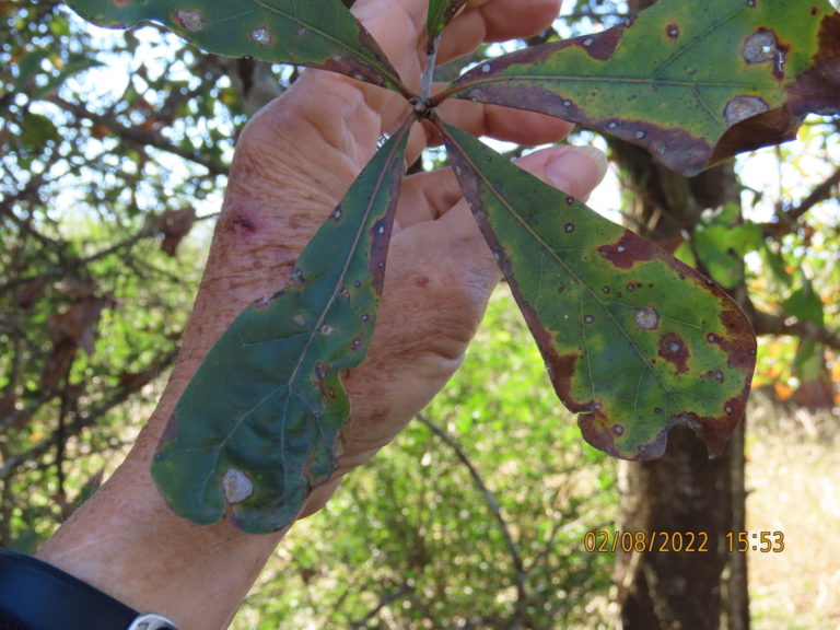 Photo Credit: Claire Sorenson