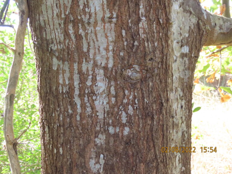 Photo Credit: Claire Sorenson