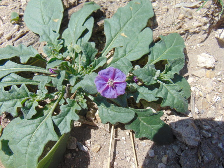 Photo Credit: Claire Sorenson