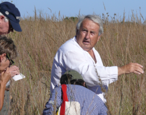 Image of person standing in tall, brown prairie grass