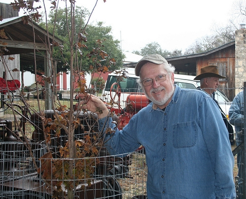 A person in baseball cap and blue button down shirt standing next to a small tree with brown leaves