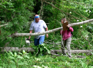 Two people chopping up a fallen tree in the forest