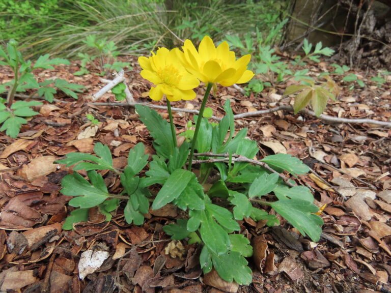 Photo Credit: Claire Sorenson