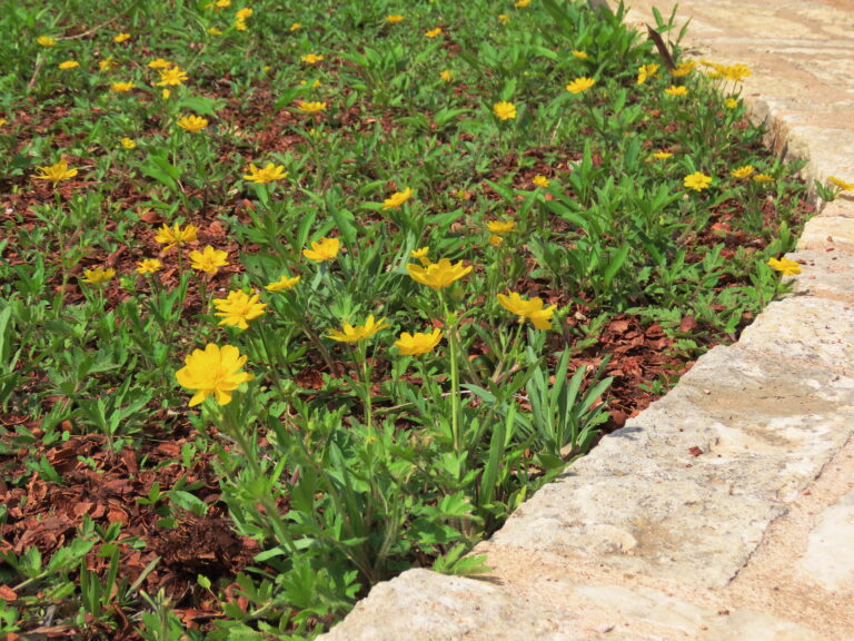 Photo Credit: Claire Sorenson