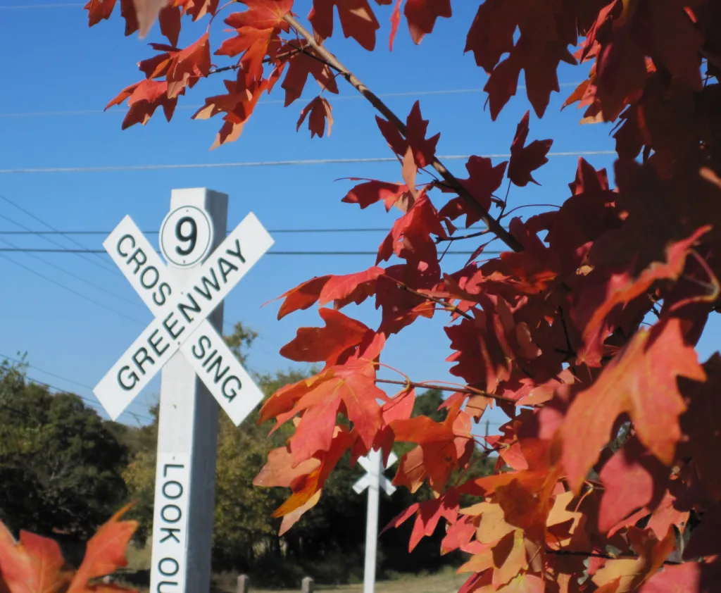 Red leaves on a tree in front of a Greenway Crossing 9 sign.
