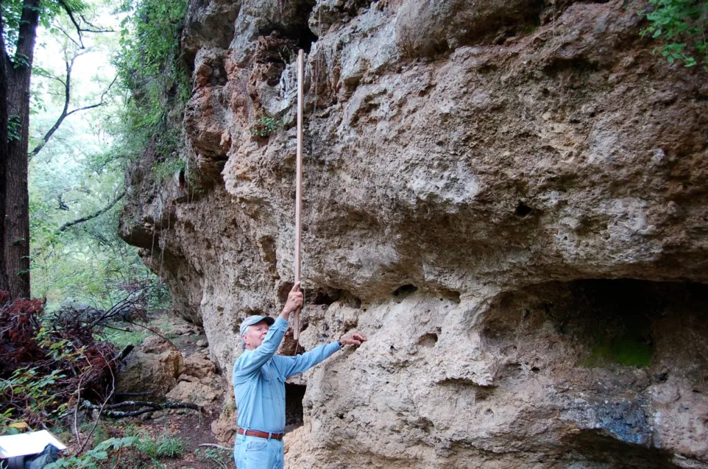 A person in a forest, raising a long stick to measure a bare rock face