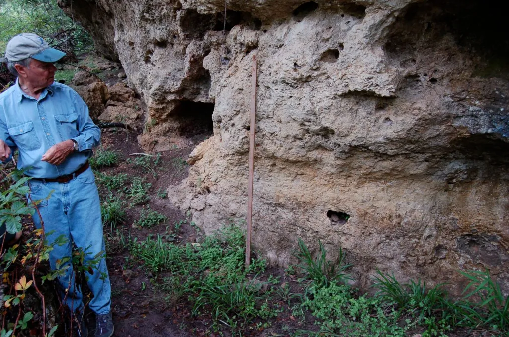 Person outdoors in front of a porous rock face