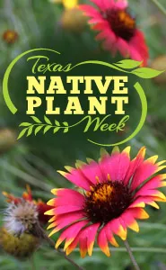 Image that reads "Texas Native Plant"
