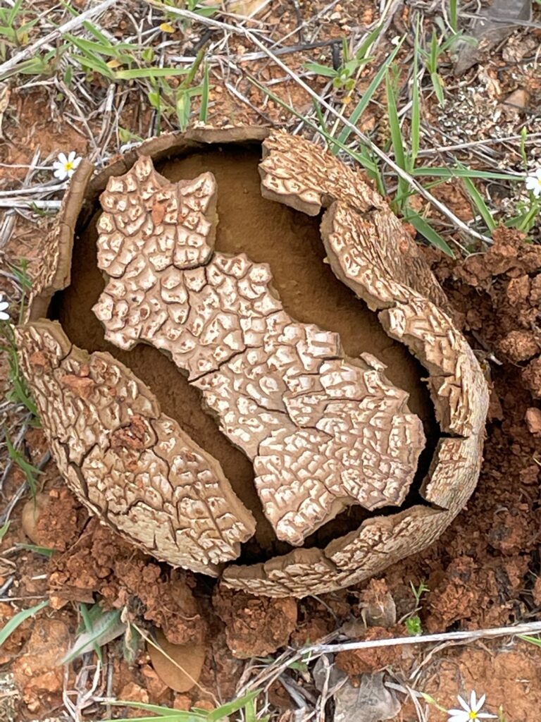 photo by Linda O'Nan